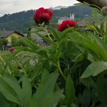 Апартаменты Accogliente E Confortevole A *