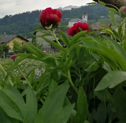 Διαμέρισμα Accogliente E Confortevole A *